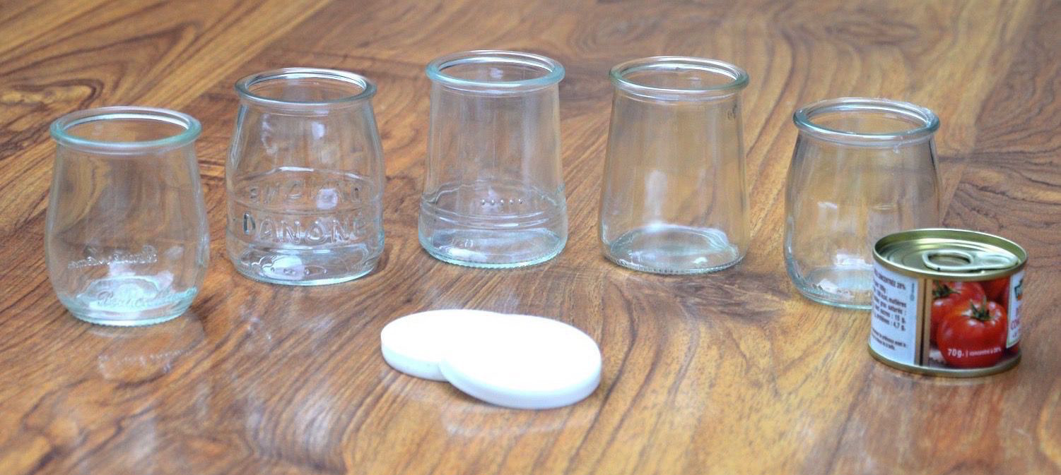 6pcs Mignon Petits Pots de yogourt en verre avec couvercles Pots